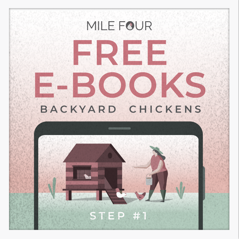 Backyard Chickens E-Book