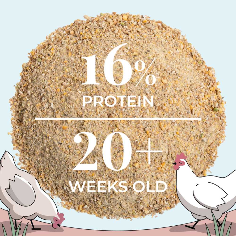 Buy Bulk Organic Chicken Feed | Save 75%+ Full Pallet Fresh Feed 