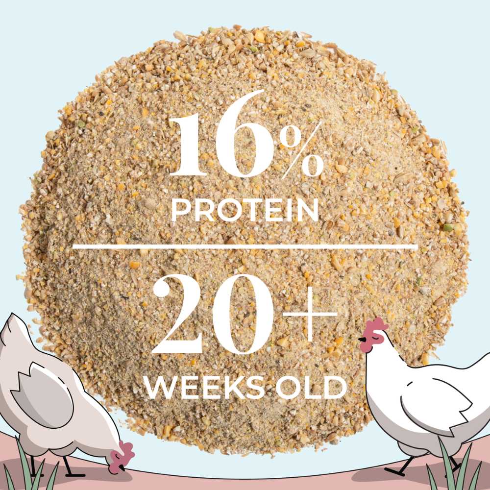 Buy Bulk Organic Chicken Feed | Save 75%+ Full Pallet Fresh Feed