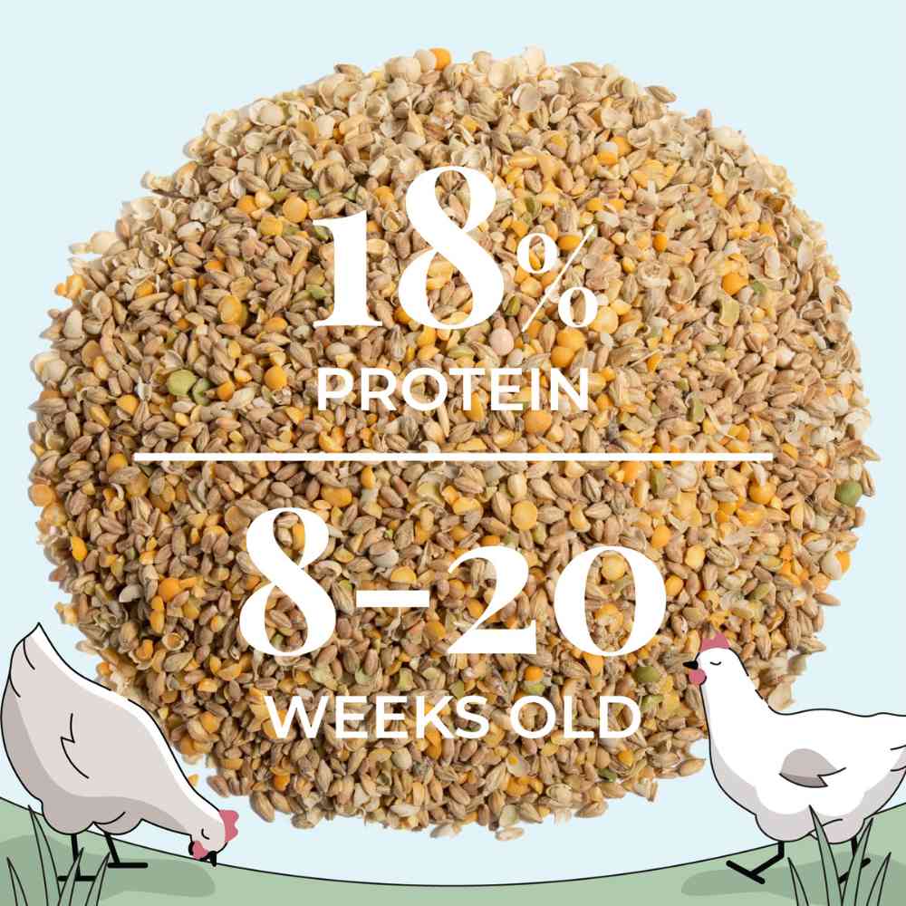 Buy Bulk Organic Chicken Feed | Save 75%+ Full Pallet Fresh Feed