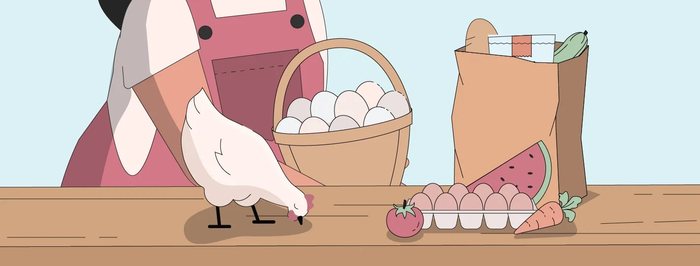 Illustration of eggs in a basket and store-bought eggs and groceries