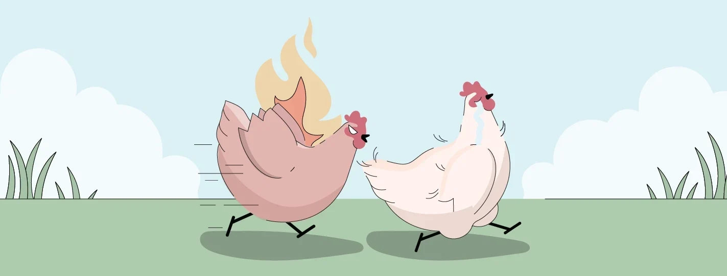 Illustration of an angry hen running after another hen
