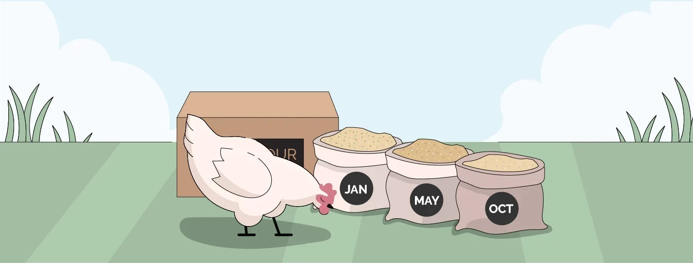 Why Chicken Feed Doesn't Always Look the Same