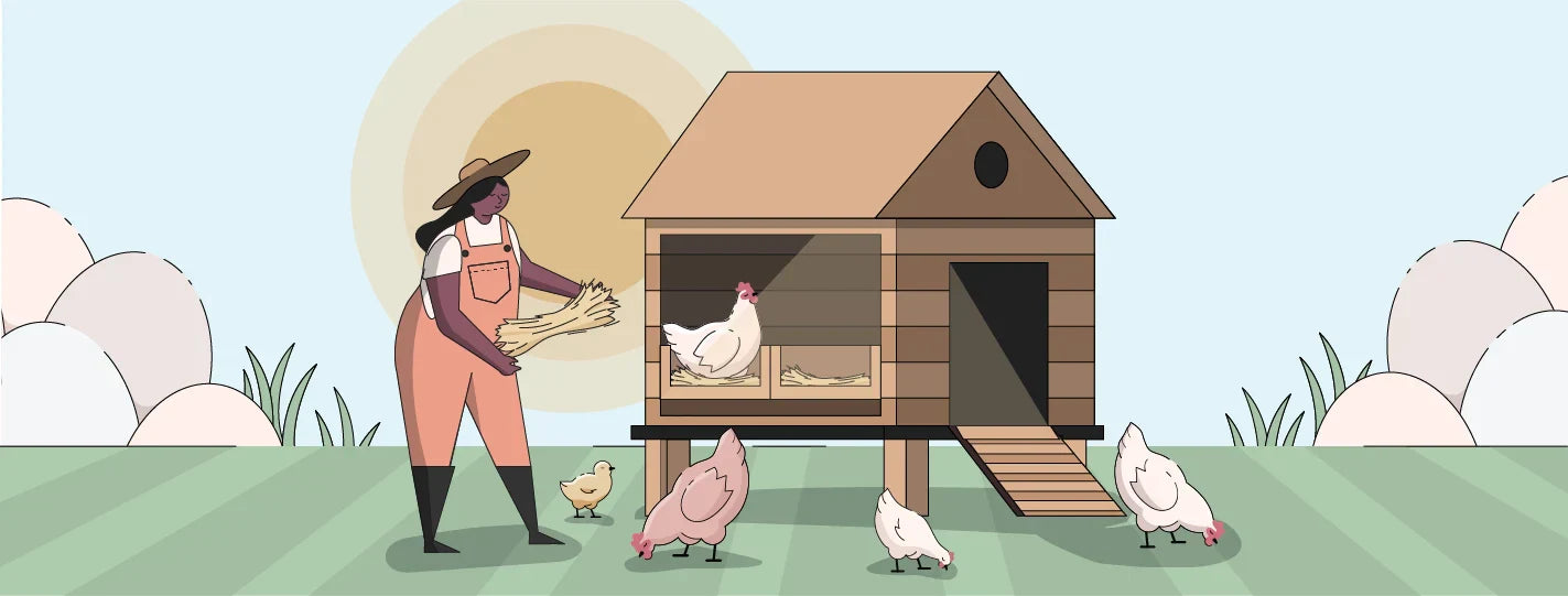 Summer Chicken Care | Ultimate Guide [2025]