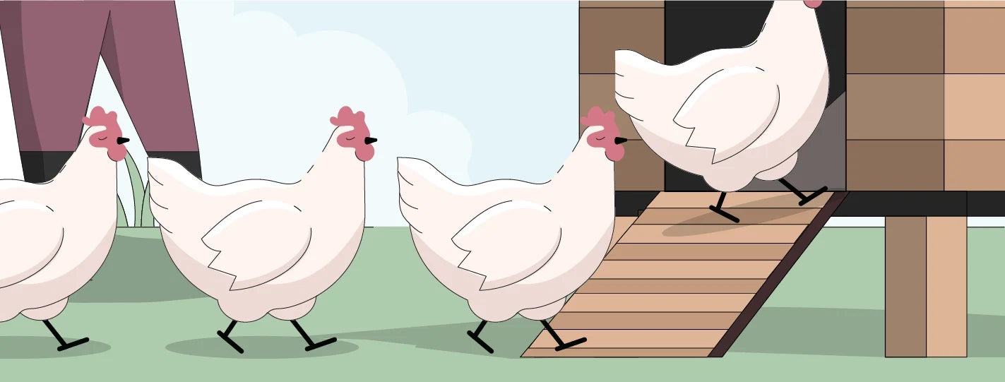 Chicken Math: Why You Always Want “Just One More” Hen