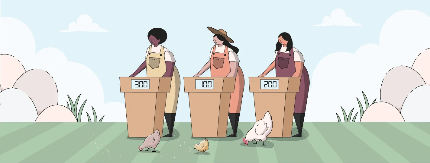 Chicken Trivia Challenge