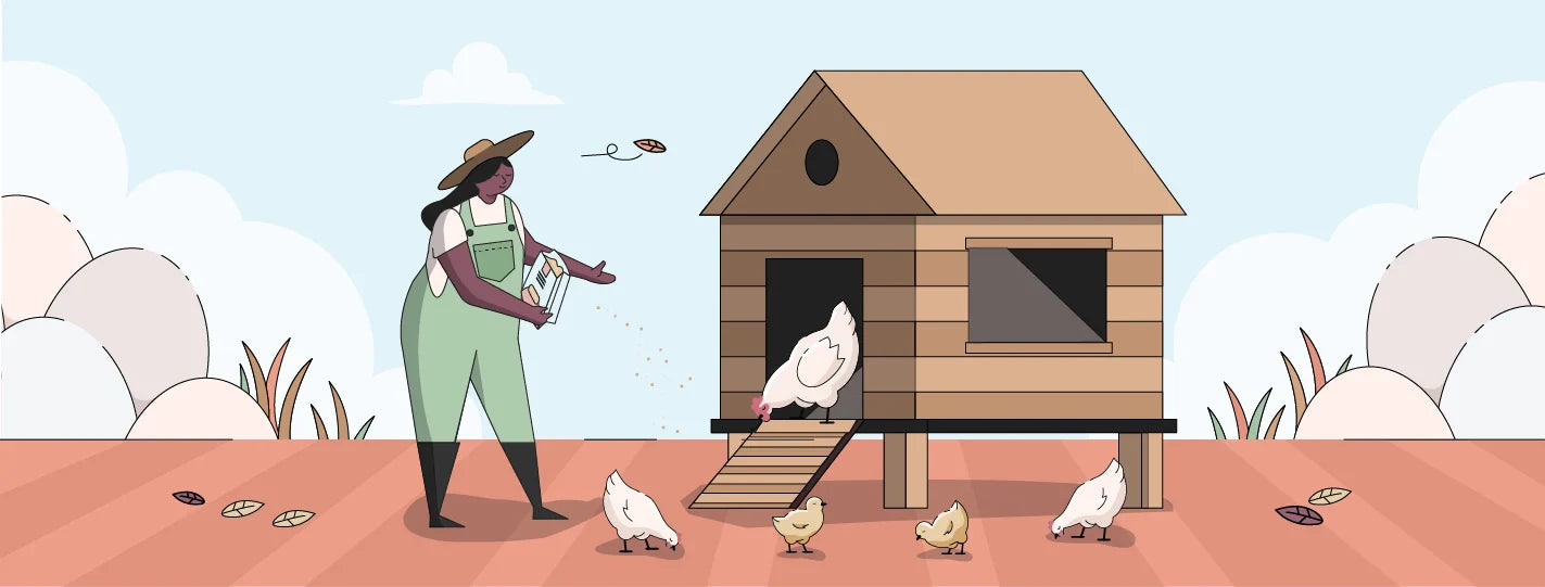 Fall Chicken Care | Ultimate Guide [2025]