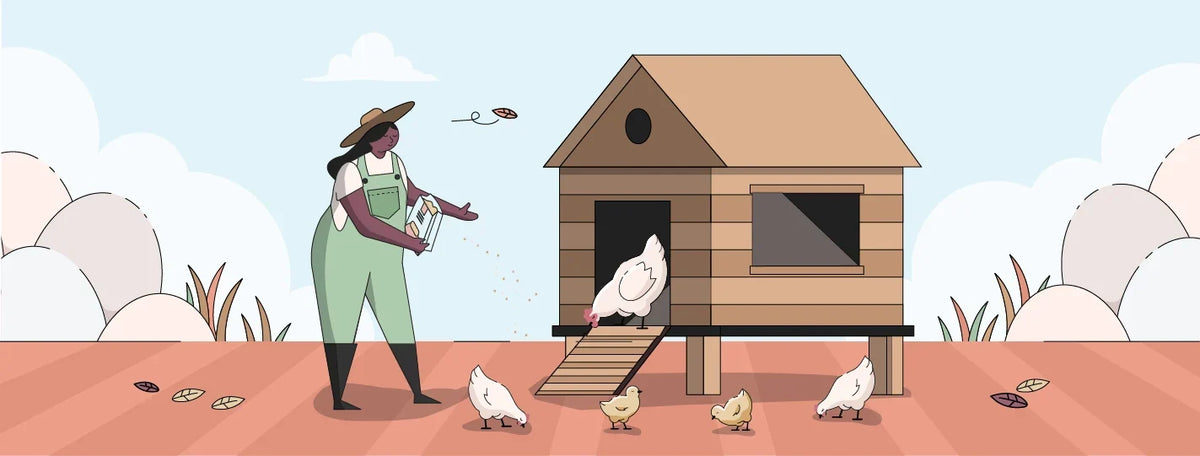 Fall Chicken Care | Ultimate Guide [2026]