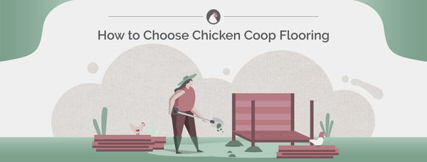 How to Choose Chicken Coop Flooring