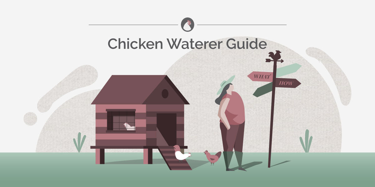 Chicken Waterer Guide