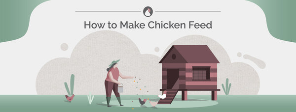 How to Make Chicken Feed