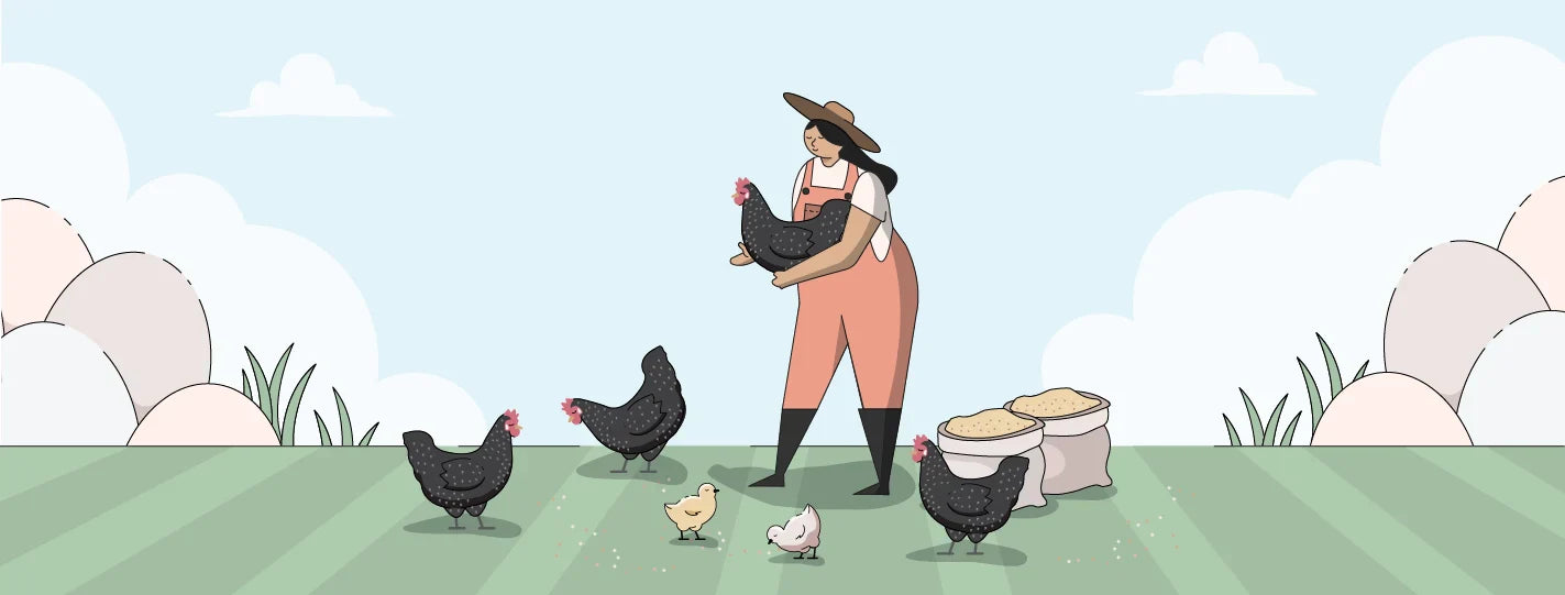 Ancona Chicken Breed Guide, Lady Holding Chickens