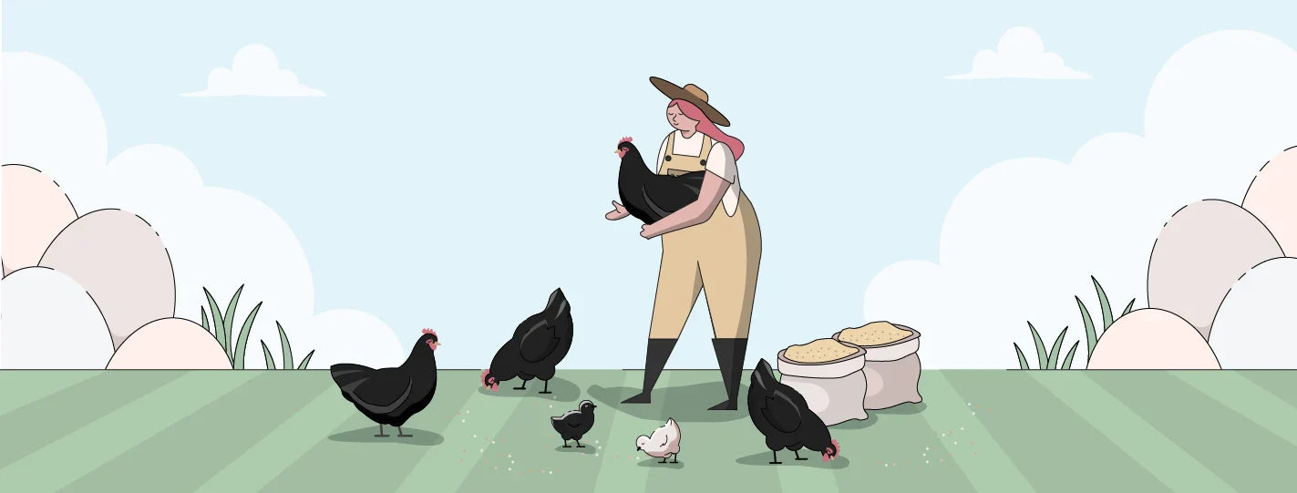 Australorp Chickens | Ultimate Guide