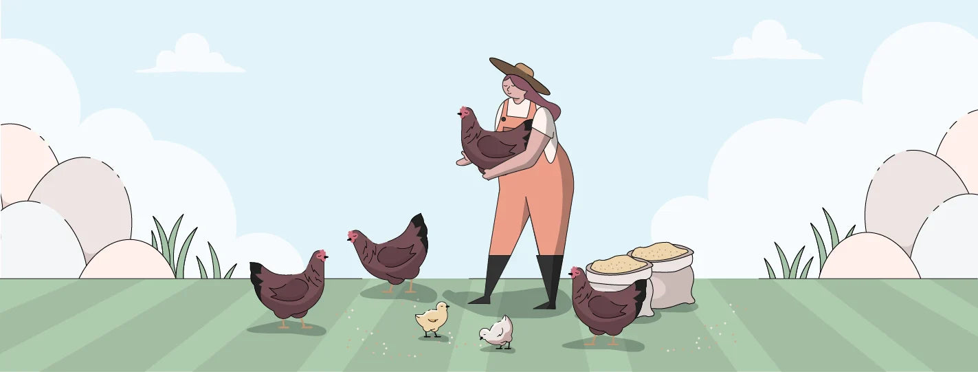 Buckeye Chicken Breed Guide, Lady Holding Chickens