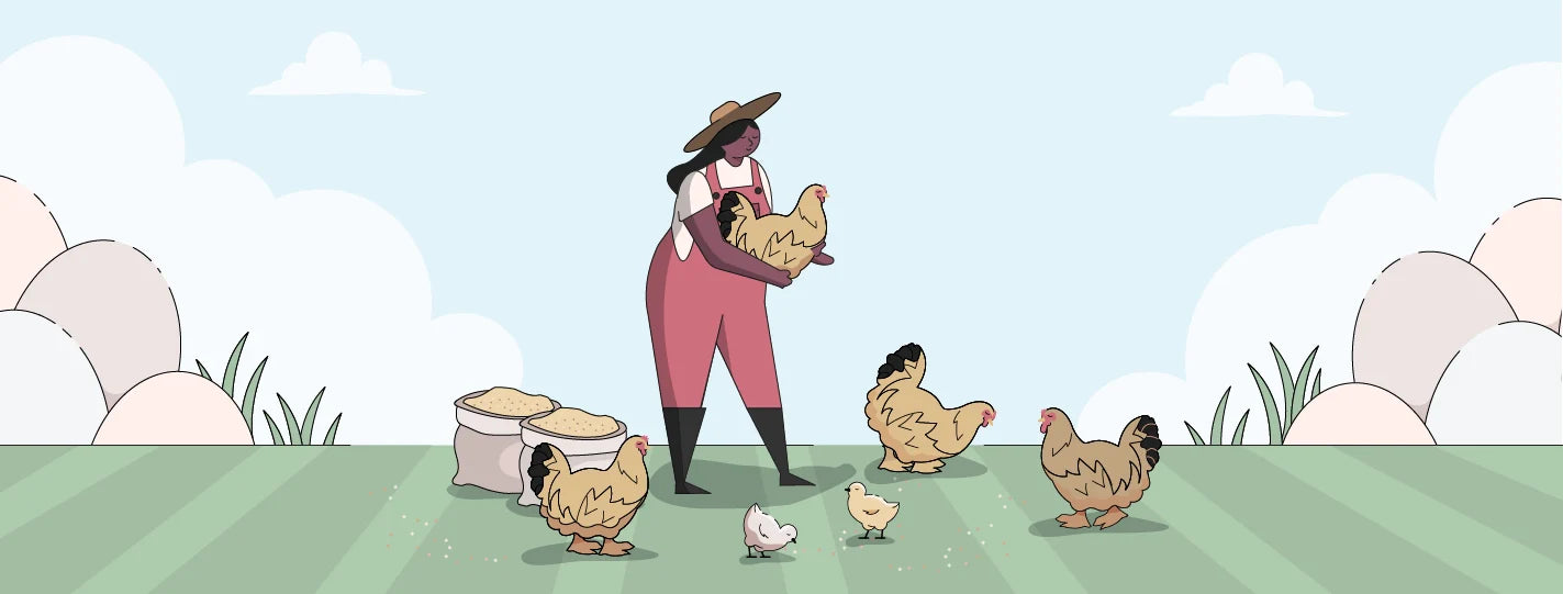 Photo of a buff brahma