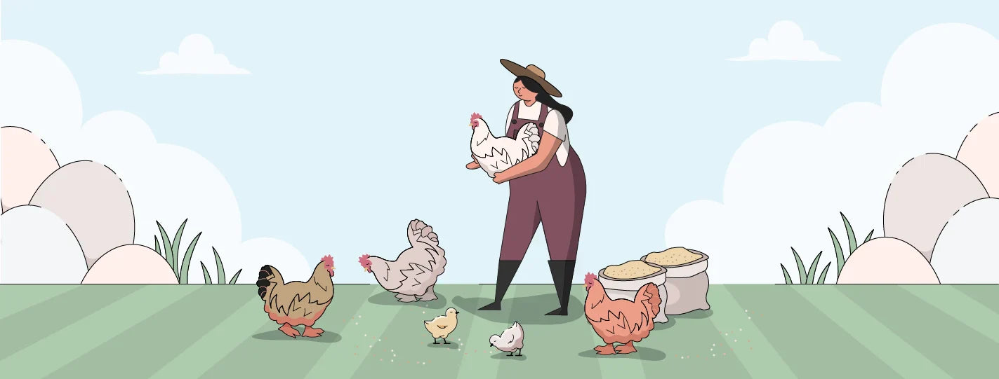 Cochin Chicken Breed Guide, Lady Holding Chickens