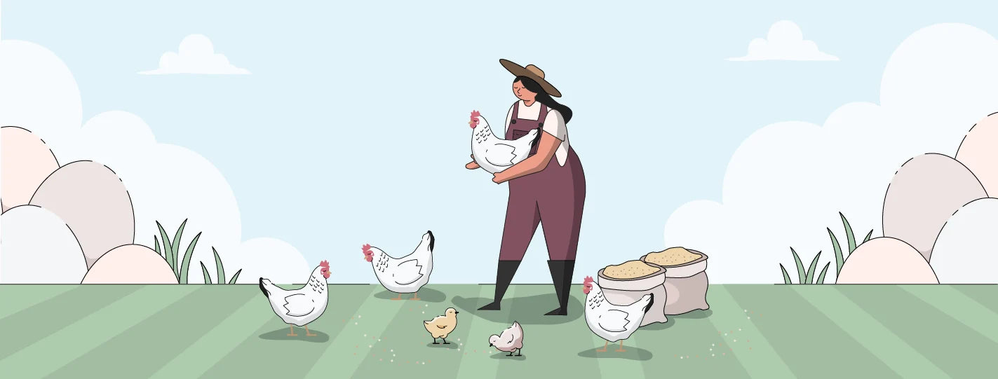 Delaware Chicken Breed Guide, Lady Holding Chickens