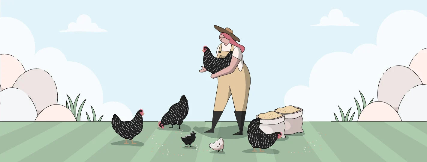 Dominique Chicken Breed Guide, Lady Holding Chickens