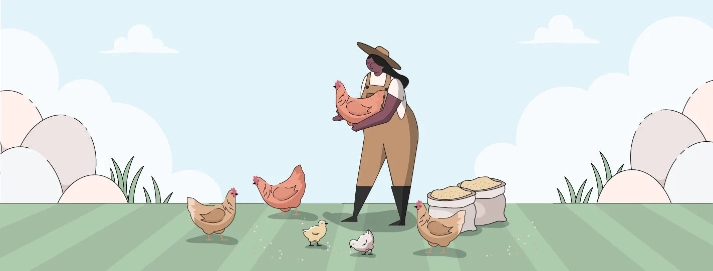 ISA Brown Chicken Breed Guide, Lady Holding Chickens