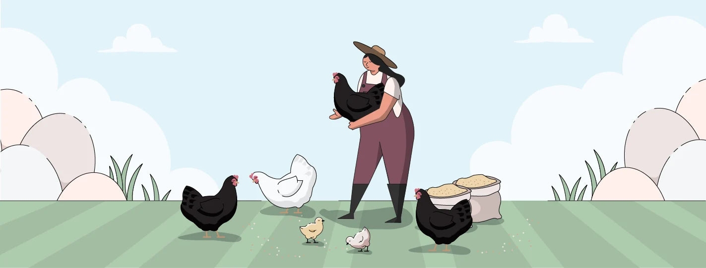 Photo of a jersey giant