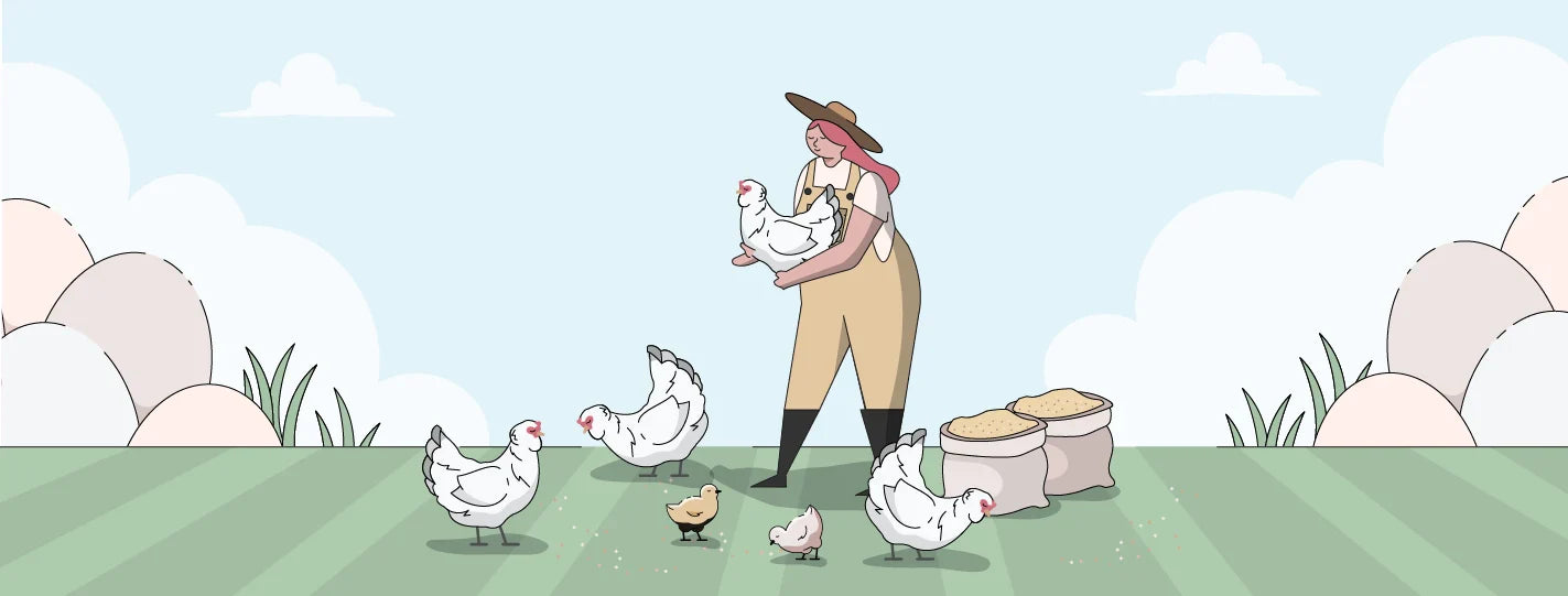 Leghorn Chickens | Ultimate Guide