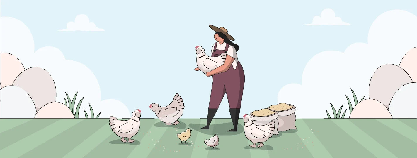 Salmon Faverolle Chicken Breed Guide, Lady Holding Chickens