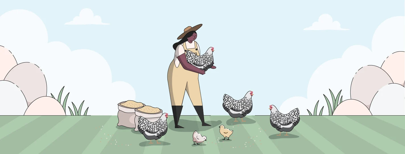 Photo of a silver laced wyandotte