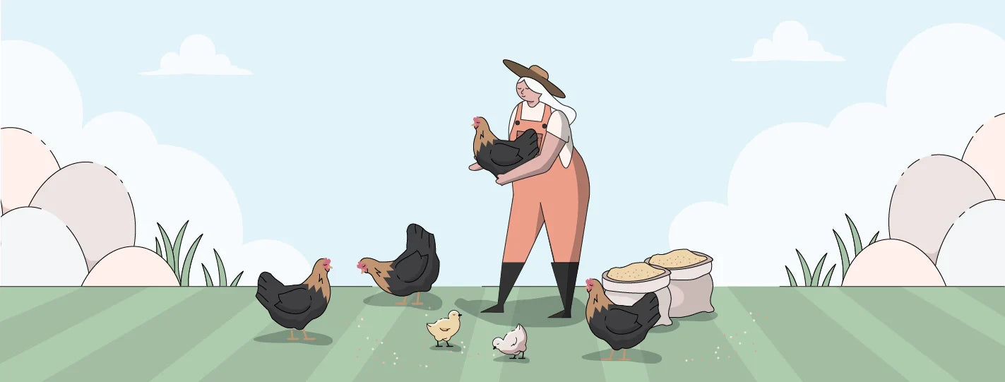 Welsummer Chicken Breed Guide, Lady Holding Chickens