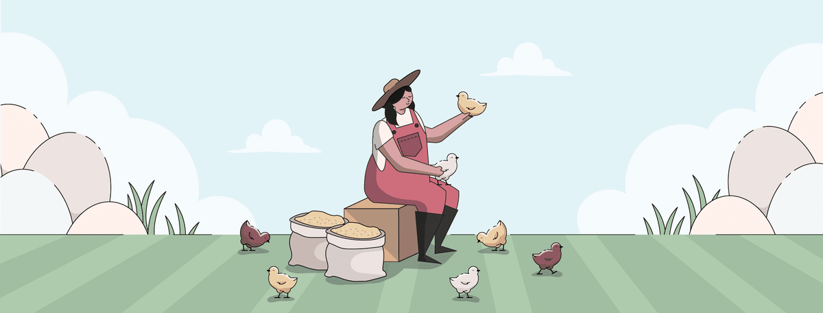 Best Chicken Hatchery