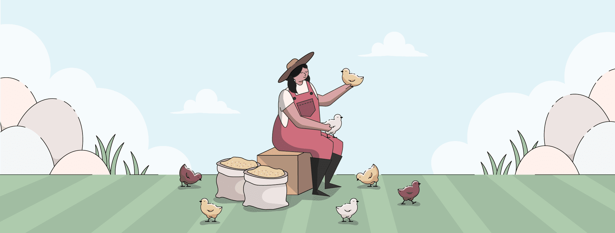 Best Chicken Hatchery