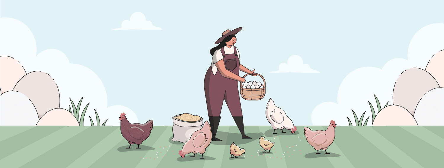 Free Range Eggs | Ultimate Guide