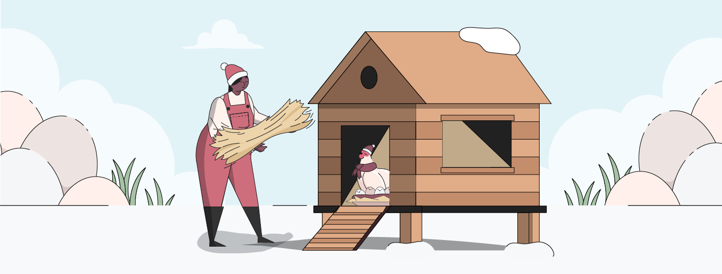 Winter Chicken Care | Ultimate Guide [2025]