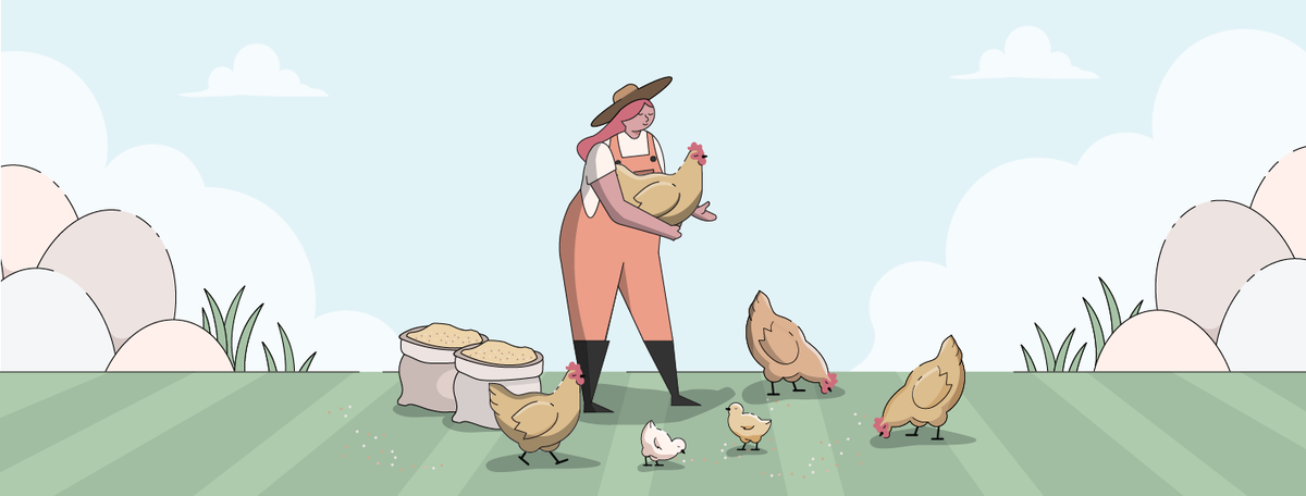 Buff Orpington Chickens | Ultimate Guide