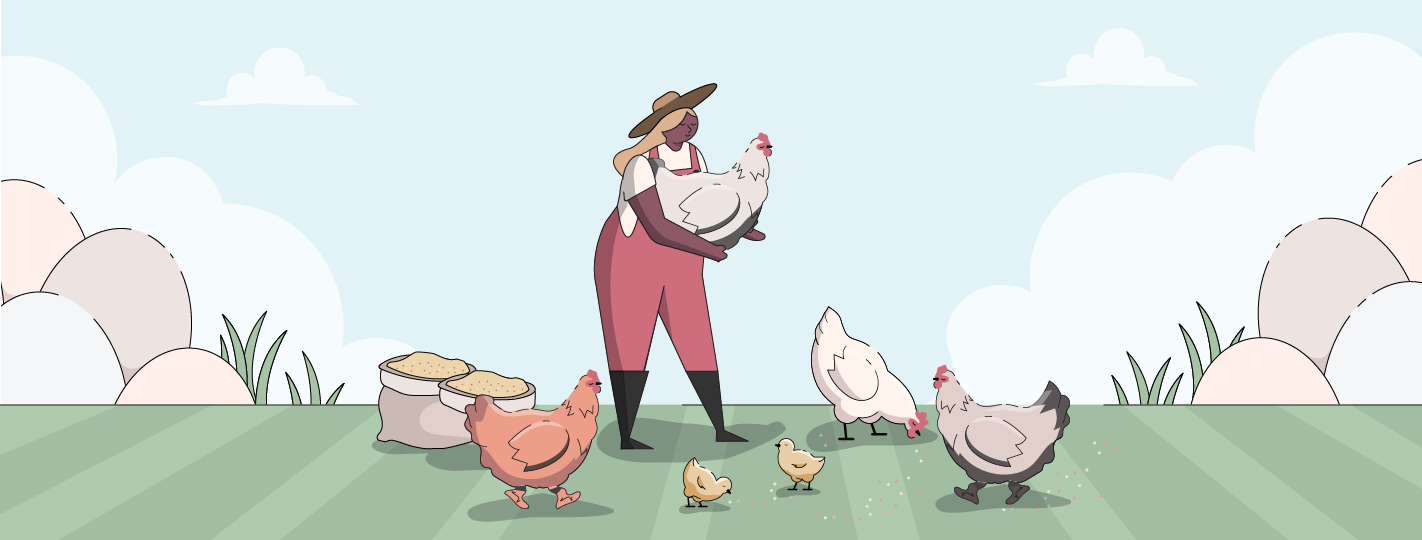 Brahma Chickens | Ultimate Guide