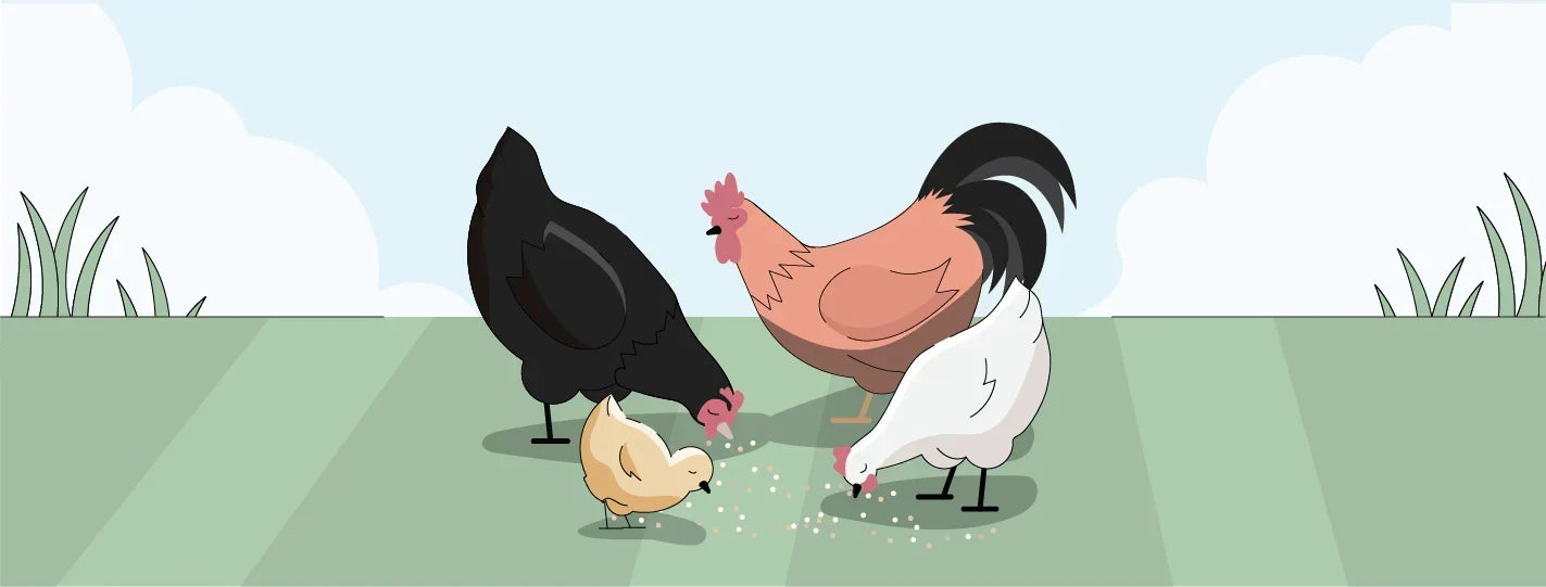 illustration of mixed flock feeding on grass