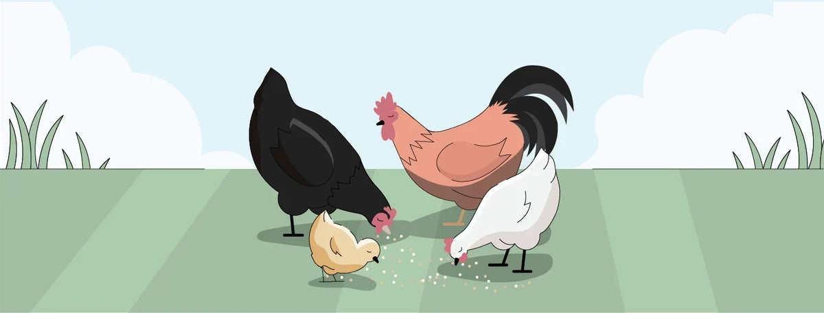 illustration of mixed flock feeding on grass
