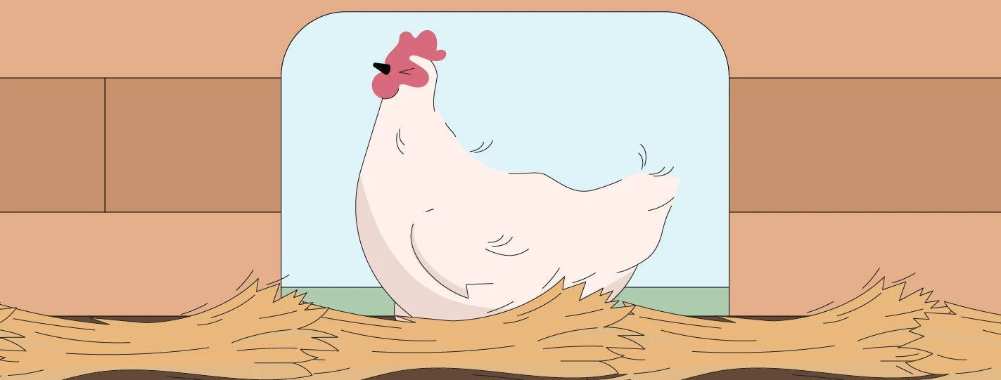 Illustration of a sickly chicken
