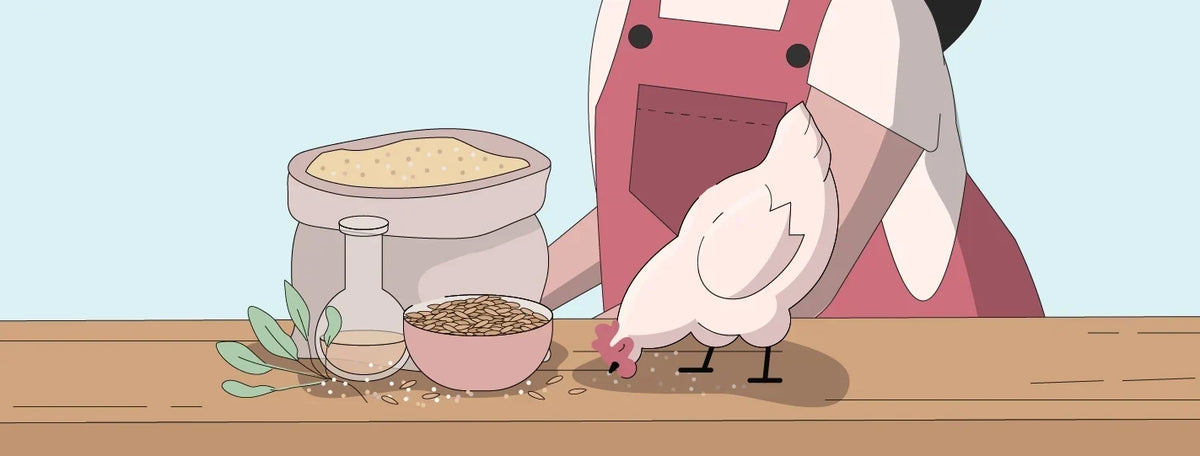 Illustration of a layer hen feeding beside a bowl of flax