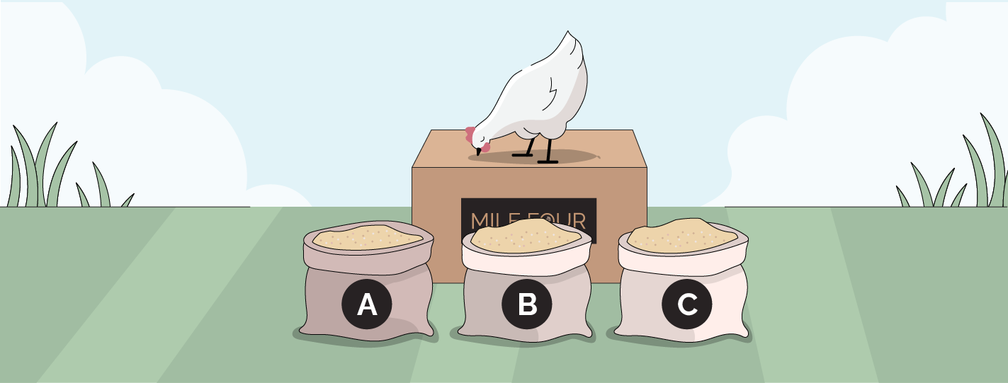 Whole Grain vs Mash vs Pellets vs Crumbles — Which Chicken Feed Form is Better