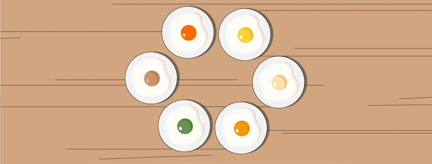 What Actually Controls Egg Yolk Color (Hint: It's Not What You Think)