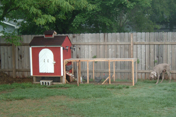 chicken-coop-plan-backyard-living.jpg