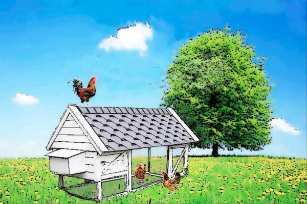chicken-coop-plan-harriets-house.jpg