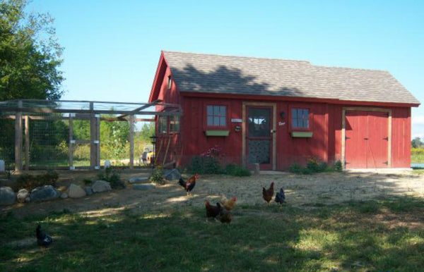 chicken-coop-plan-kassys-hen-house.jpg