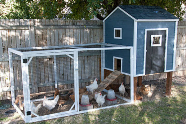 chicken-coop-plan-riverton-ranch.jpg