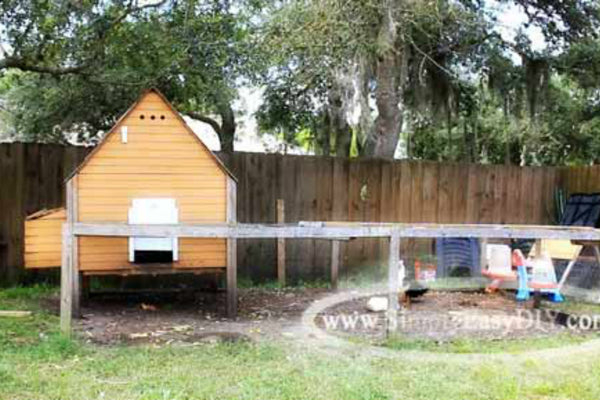 chicken-coop-plan-small-backyard.jpg