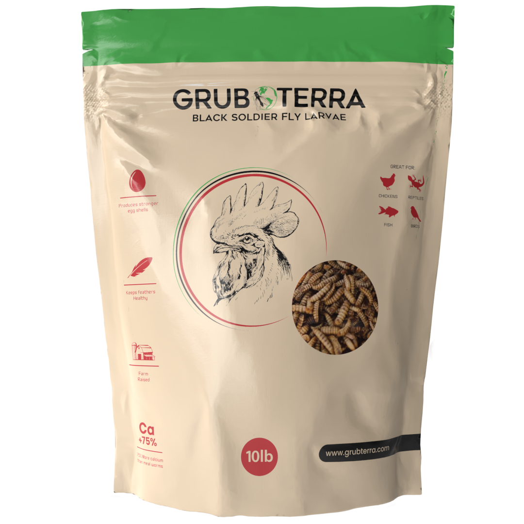 Organic Grub for chickens