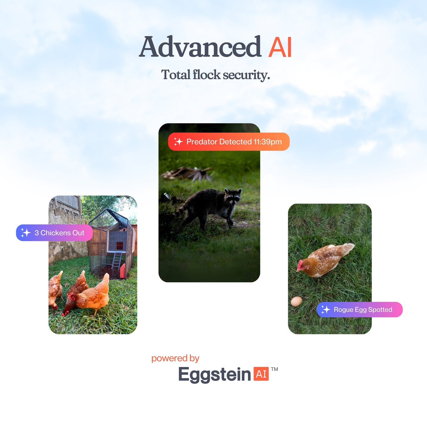 The Smart Coop, The Smart Coop Base, Smart Chicken Coop, AI Chicken Coop, Automated Chicken Coop, Smart Chicken Coop App