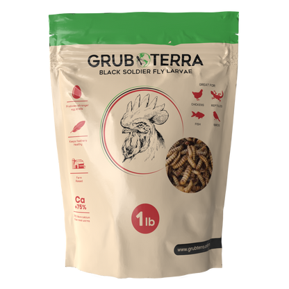 Grub Terra | Organic Grub for chicken | Fly Larvae