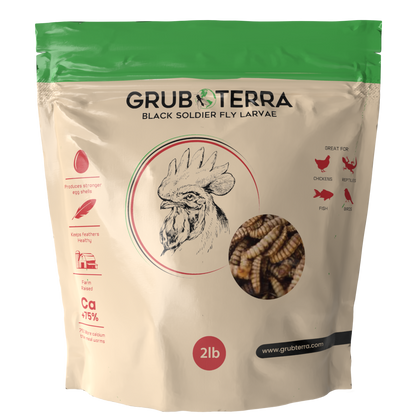 Grub Terra | Organic Grub for chicken | Fly Larvae