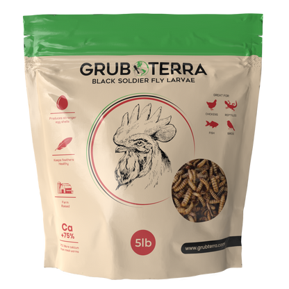Organic Grub for chickens